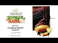 Lagu KONSER NATAL PUKAT 1996 (PCC 1996) Babak 2,menampilkan musik inkulturasi Vocalista Sonora 14-12-1996