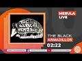 THE BLACK ARMADILLOS @Magazzino Musicale Merula