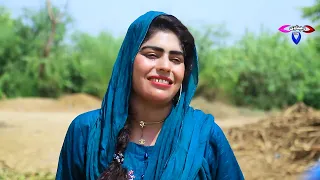 2 years old Baby Wedding | Ramzi,Noori, Bilo,Shoki, Sanam,Jannat,Falak Sher,Funny Video  Rachnavi Tv