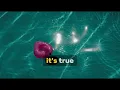Jessie J – Living My Best Life (Lyrics Video) | Sing Along & Feel-Good Vibes