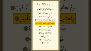 سورة القارعة مكررة بصوت ماهر المعيقلي  سورة القارعة مكررة بصوت ماهر المعيقلي