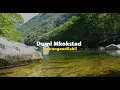 Download Lagu Dumi Mkokstad – Mawungandilahli (Official Lyric Video)