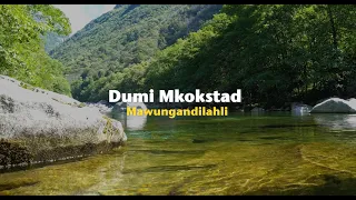 dumi mkokstad mawungandilahli official lyric video 