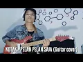 Download Lagu PELAN-PELAN SAJA - KOTAK (Guitar cover)