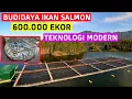 Download Lagu Cara Ternak Dan Budidaya Ikan Salmon Patut Di Contoh Di Indonesia