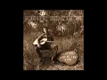 Days of Healing - Allan Moon