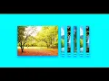 Hover Gallery CSS Image overlay hover effects with CSS