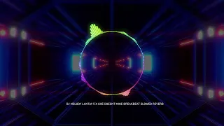 dj spectrum melody lantay 5 x she doesnt mine breakbeat slowed reverb copy of