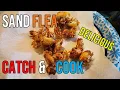 Fried Sand Flea Bites Catch and Cook
