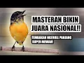 Download Lagu PALING DISUKAI JURI!! MANTENAN GUNUNG GACOR NEMBAK PANJANG BUAT MASTERAN MURAI BATU FULL ISIAN MEWAH