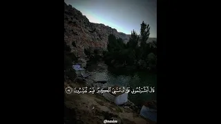 هزاع البلوشي سورة الحجر من الآية 51 56 