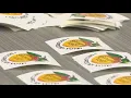 Georgia Senate to remove inactive voters