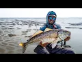 Exploring Charleston Sound Beast Redfish at low tide