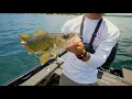 Lake Geneva WI Walleye Fishing
