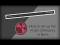 Nuke - Setting up the Project Directory