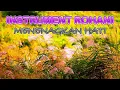 Download Lagu KUMPULAN LAGU ROHANI INSTRUMENTAL | Menenangkan hati dan jiwa