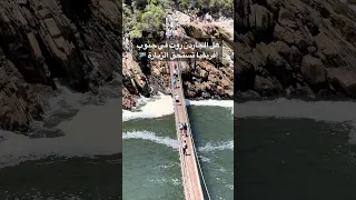 الجاردن روت في جنوب أفريقيا دندنها