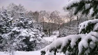 تلوج و عتمة كانون وفيق حبيب 