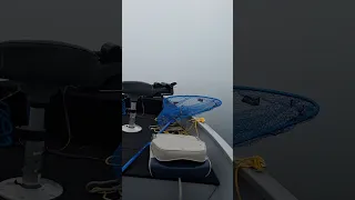 Fishing stow away #fishing