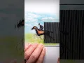 Download Lagu Draw a Horse! #Art #drawing #horse #illusion #shorts #howtodraw #easydraw