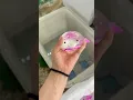 I can t stop squeezing this goofy fish