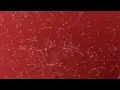 Plexus Background Tutorial in Adobe After Effect Adobe After Effect Tutorial BANGLA