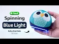 Echo Dot Kids Stuck on Spinning Blue Light Fix