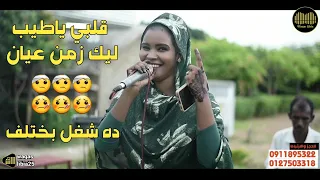 قلبي يا طيب    حواء بت ام هاني     انسى يا قلبي            دندنها