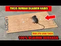 Download Lagu TERNYATA PAKE CARA INI ! TIKUS KABUR SELAMANYA
