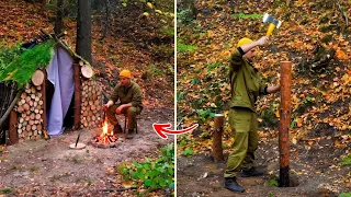 مغامرات الطبيعة: خيام مبتكرة وبيوت الأحلام في الغابة! 🏕️
