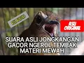Download Lagu Ampuh ! PANCINGAN DAN MASTERAN SUARA ASLI JONGKANGAN GACOR NGEROL TEMBAKAN MATERI MEWAH