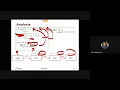 Recursion Problem Solving by Ashikur Rahman