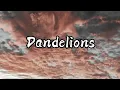 Dandelions male version (lyrics)