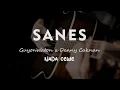 Download Lagu SANES // GUYON WATON X DENNY CAKNAN // KARAOKE GITAR AKUSTIK NADA CEWE ( FEMALE )