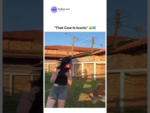 "That Cow Is Iconic" 🦋😩