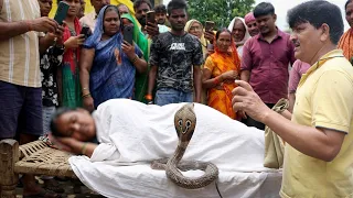 एक और दुखद घटना! जहरीला साँप काटने से महिला की मौत अनाथ हो गए बच्चे। दवा पिलाने के चक्कर में गई जान!