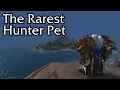 World of Warcraft s Rarest Hunter Pet