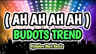 Download Ah Ah Ah Budots Viral | 2024 | DjRedern Mark Remix MP3