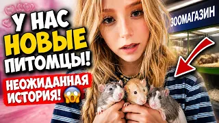 🐭 У нас Новые питомцы ! Неожиданная история!