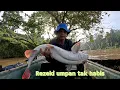 Download Lagu BEM kena tajur umpan tak habis 😂