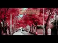 [KOR/ENG Lyrics] 소심한 오빠들(Sosimboys) - 그대가 가을이라면(If You Are Fall)