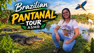 PANTANAL 4K ASMR 🇧🇷 - The Brazilian Pantanal is a paradise ☀️ birds and wild animals 🐊 🦜🦌