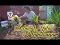 Download Lagu SELAMAT JALAN HAHOLONGAN | Suryanto Siregar | Lagu Batak Sedih
