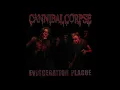Download Lagu Cannibal Corpse- Evisceration Plague(Instrumental)