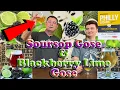 Download Lagu Blackberry Lime Gose \u0026 Soursop Gose - Taste Testing - Philly Sour