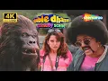 Lagu Gorilla VS Kaalia | Double Dhamaal Comedy! 😆| Riteish Deshmukh, Kangna Ranaut, Arshad Warsi