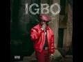 DIDI B - IGBO ( AUDIO OFFICIEL )