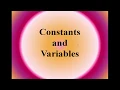 Lecture on Constants and Variables for Class 8th in English
