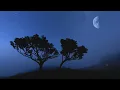 Lola Indigo - LA REINA ( Letra/Lyrics )