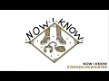 Download Lagu NOW I KNOW // LYRIC VIDEO // STEPHEN MCWHIRTER